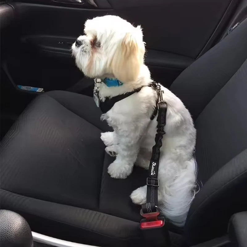 Adjustable Dog Car Seat Belt – Elastic Safety Leash for Travel